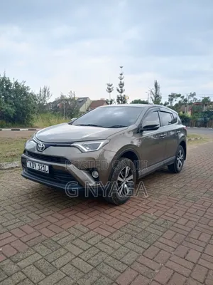 Toyota RAV4 2017 Gray