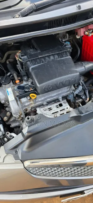 Toyota Ractis 2009 Gray