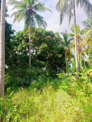 1.5 Acres of Land With Palm Trees on Sale in Kinondo Diani