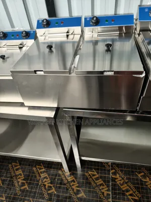 Stainless Steel Twin Deep Fryer for Kitchen