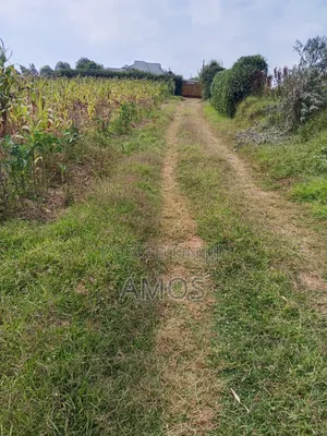 Very Prime 1 Acre Land With a 3 Bedroom Bungalow in Limuru Bibilioni