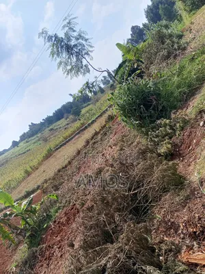2 AC Land Ideal for Farming or Plots Subdivision in Limuru Kamirithu