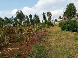 A Full 1⁄8ac Plot Sale in a Middle Class Area of Limuru Kamirithu