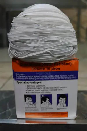 Disposable Dust Mask B627