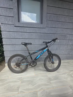 XTX Mountain Bike