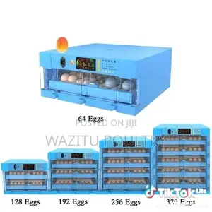 64 Eggs Incubator