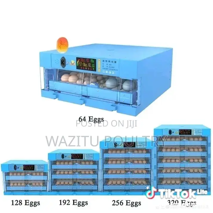 64 Eggs Incubator