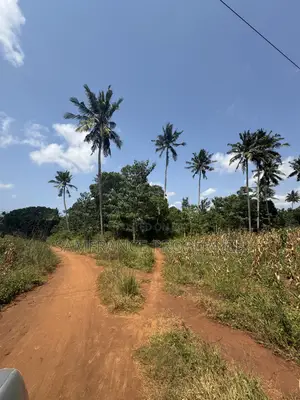 Affordable Plots for Sale Boman Kikambala