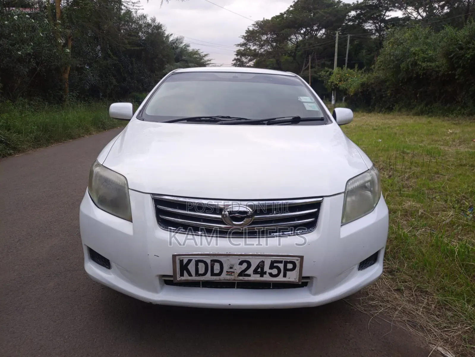 Toyota Probox 2013 Pearl