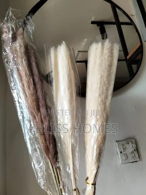 Dried Mini Pampas Grass