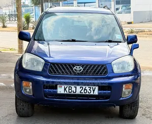 Toyota RAV4 2002 Blue