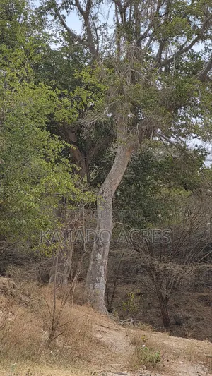 150 Acres Nkoile ,Off Namanga Road,at Per Acre