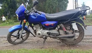 Bajaj 2025 Blue