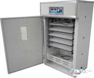 128 Egg's Incubator
