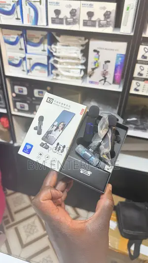 High Quality Wireless Dual Microphones