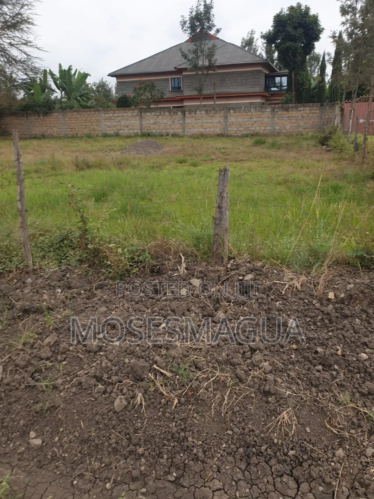 100 X 100 Prime Plot