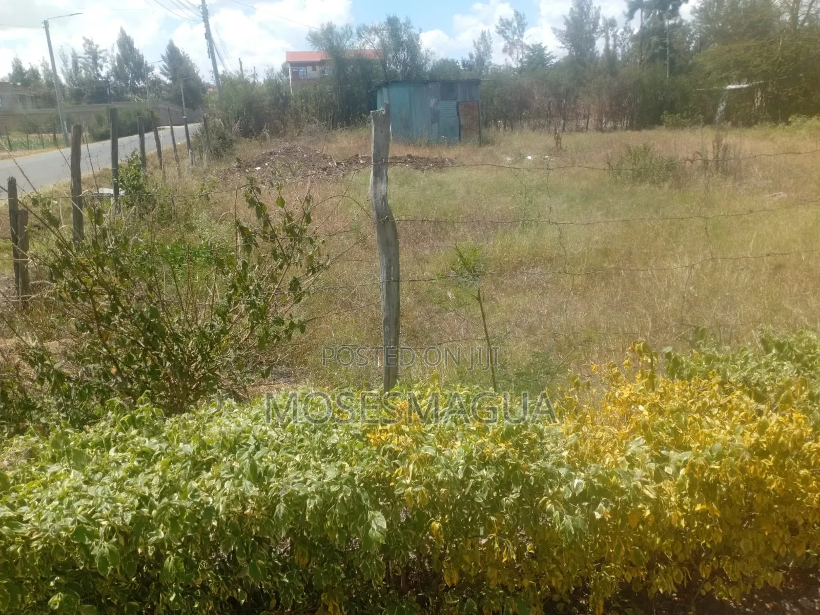100 X 100 Prime Plot