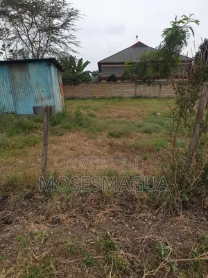 100 X 100 Prime Plot