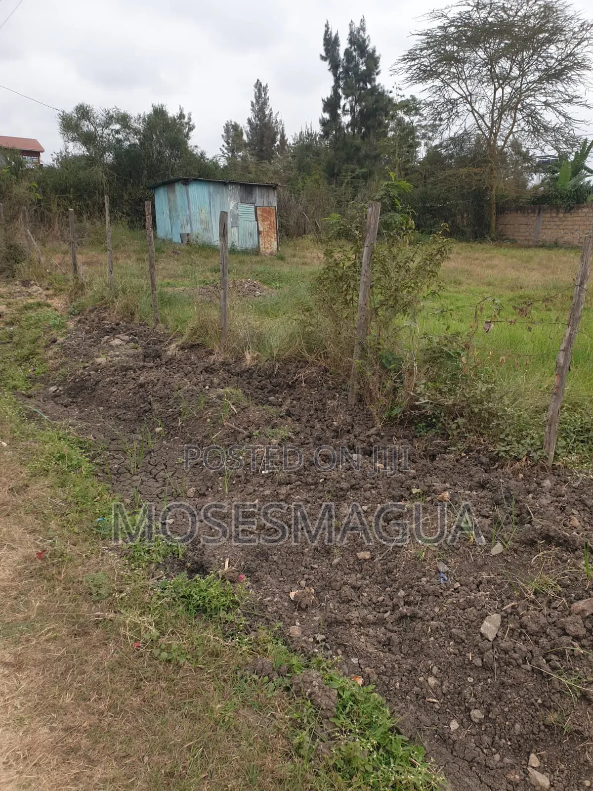100 X 100 Prime Plot