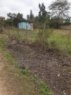 100 X 100 Prime Plot