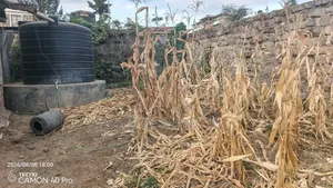 Plot for Salr