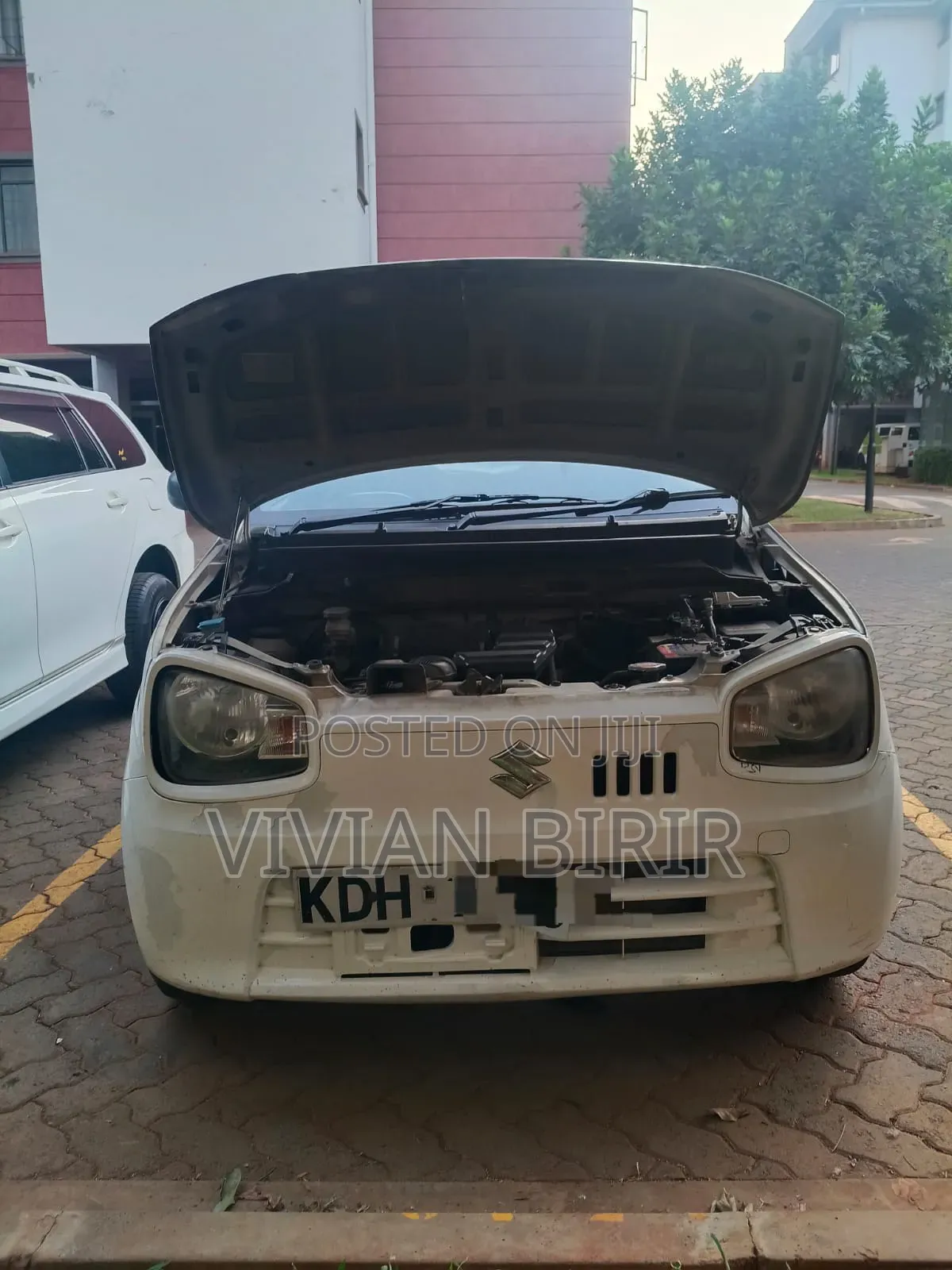 Suzuki Alto 2017 White
