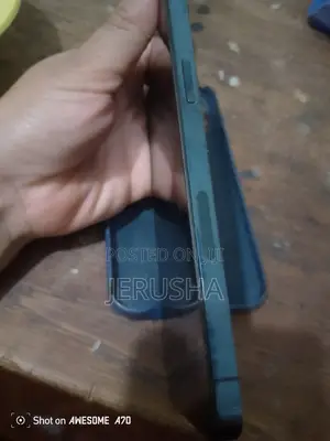 Apple iPhone 12 Pro Max 256 GB Blue