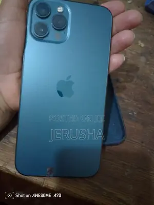 Apple iPhone 12 Pro Max 256 GB Blue