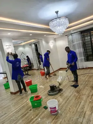 General Cleaning