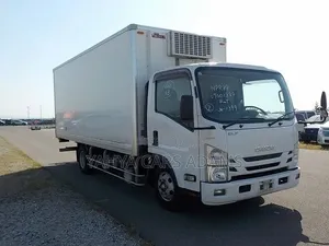 Isuzu Elf 2019