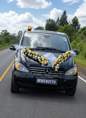 Mercedes-Benz Viano 2006 Black