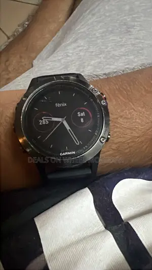Garmin Fenix 5