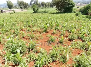 2 Plots for Sale