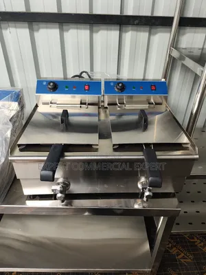 Electric Commercial Fryer
