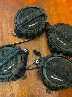 Pioneer Midrange,Tweeters, Sony Radio and Equalizer
