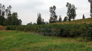 Selling a Prime 50*100 Plot in Kenol Kimorori Ward Murang'a County.
