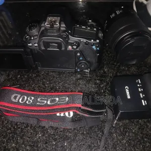 Canon 80D Camera