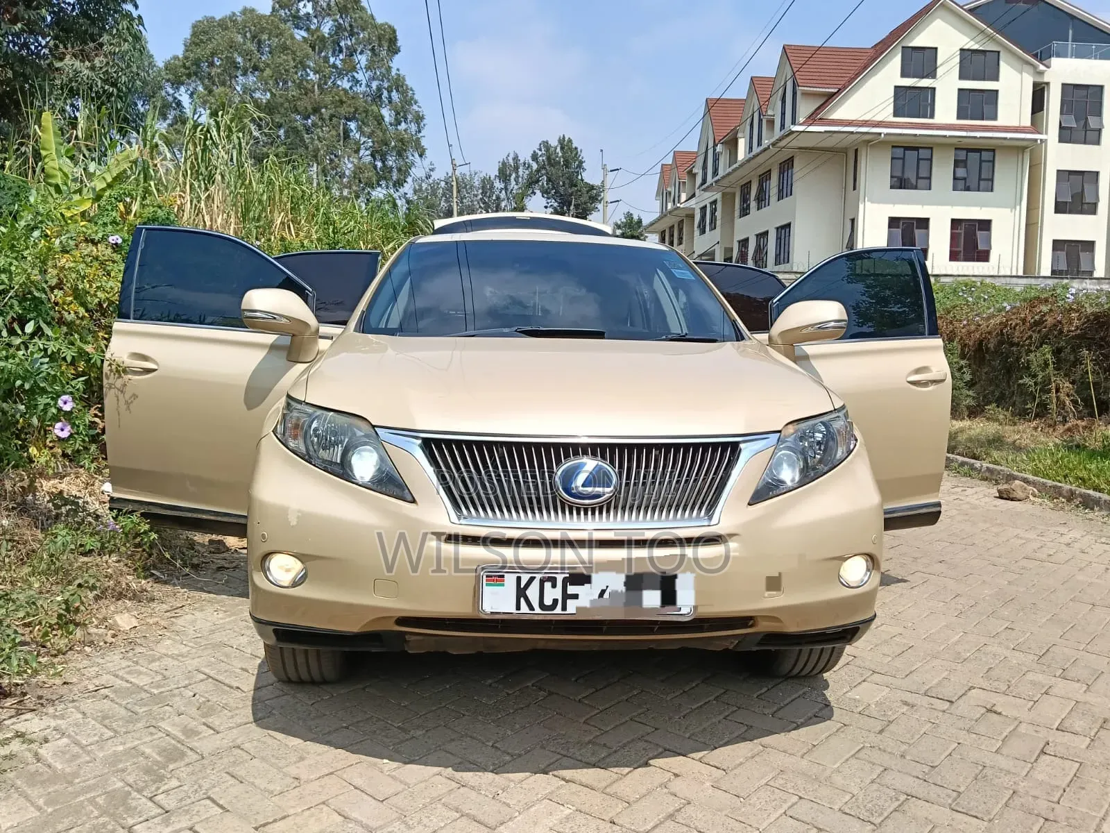 Lexus RX 2009 Gold