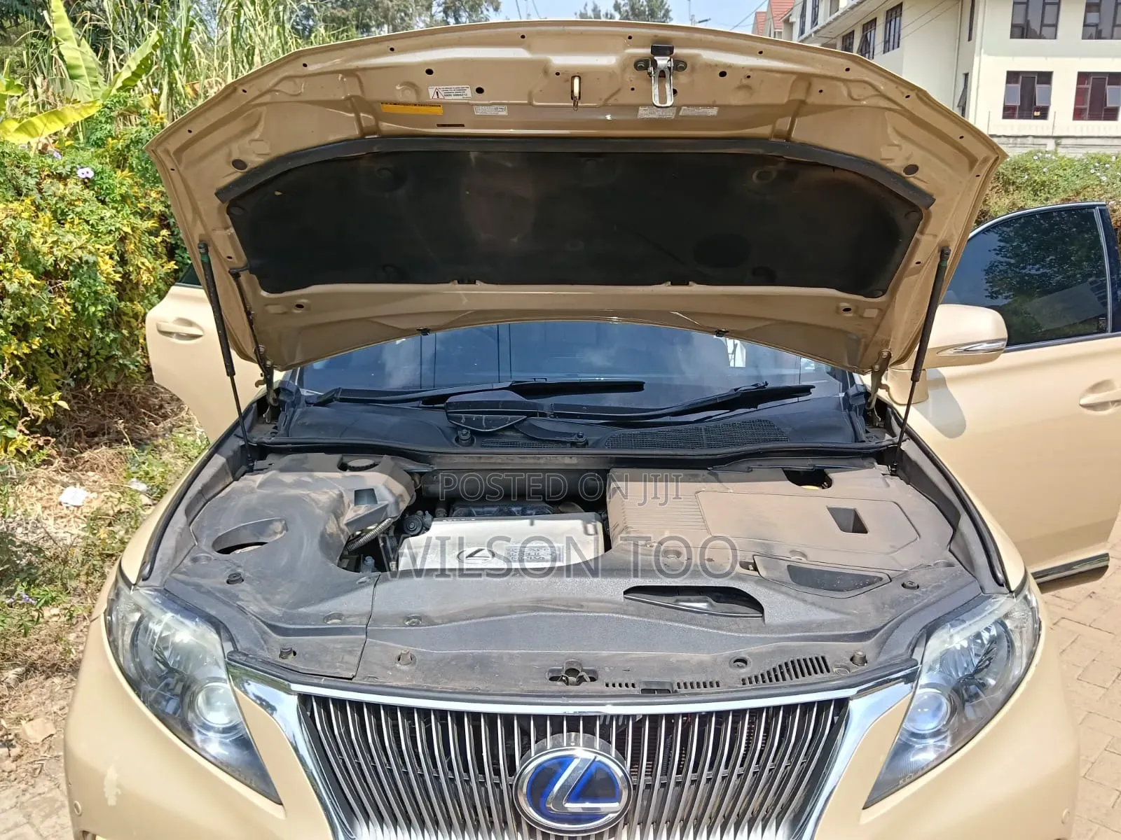 Lexus RX 2009 Gold