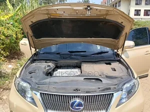 Lexus RX 2009 Gold