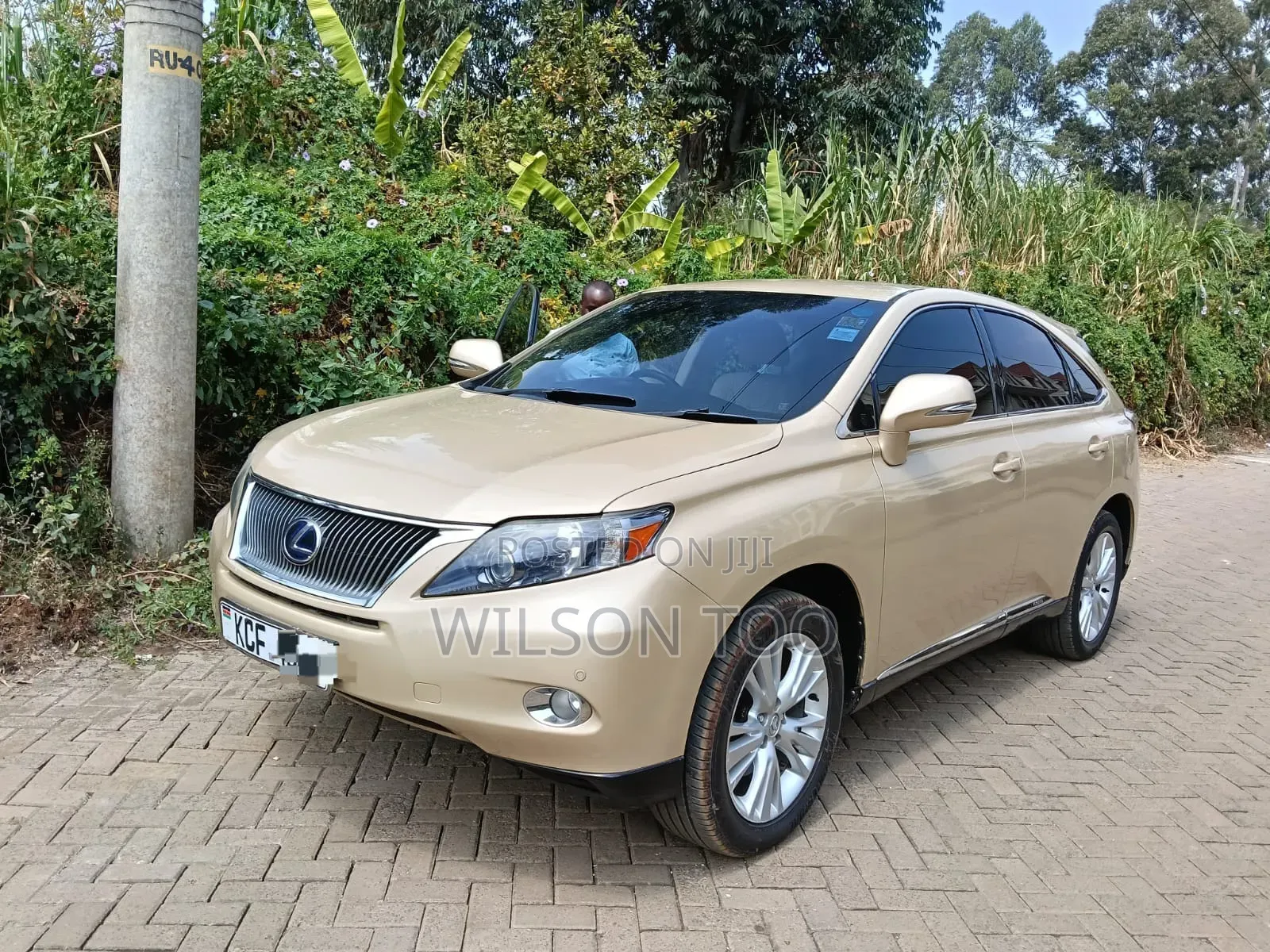 Lexus RX 2009 Gold