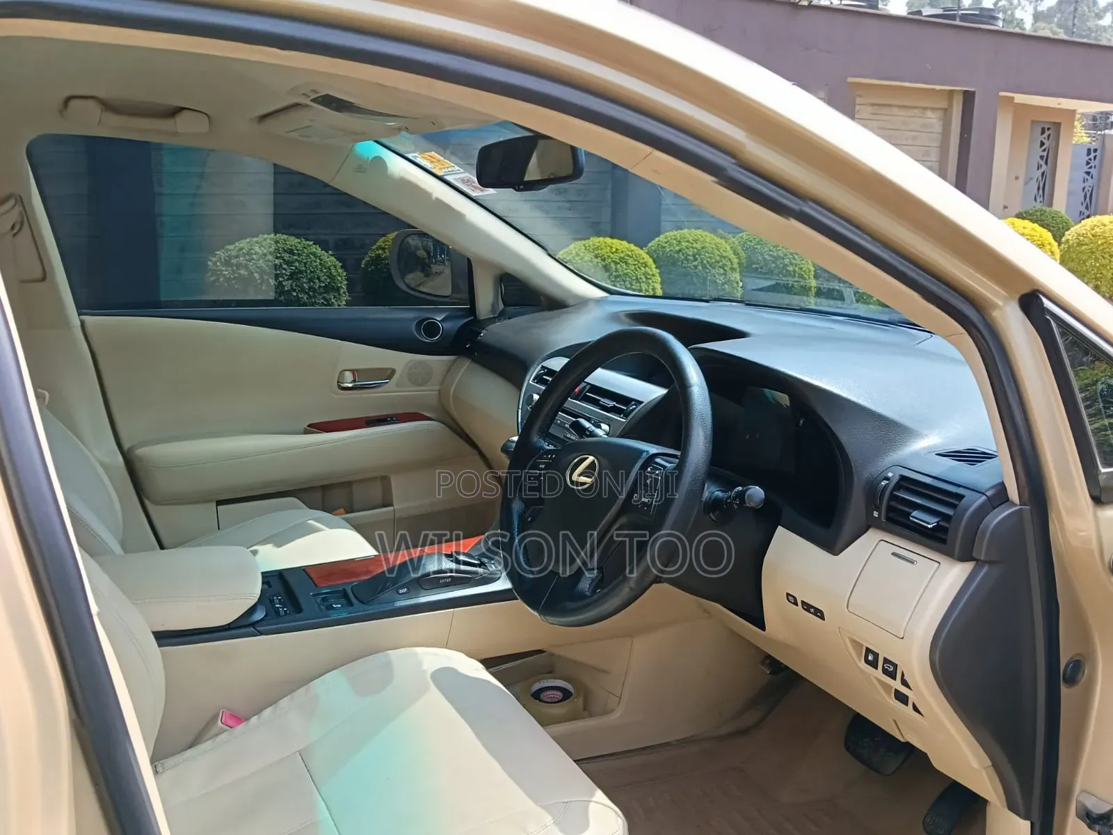 Lexus RX 2009 Gold