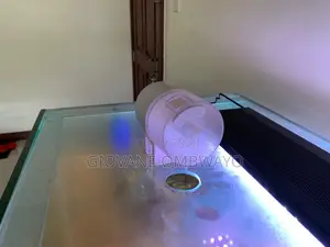250 Liters Aquarium