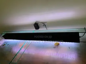 250 Liters Aquarium