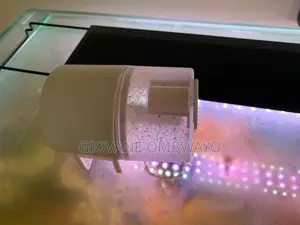 250 Liters Aquarium