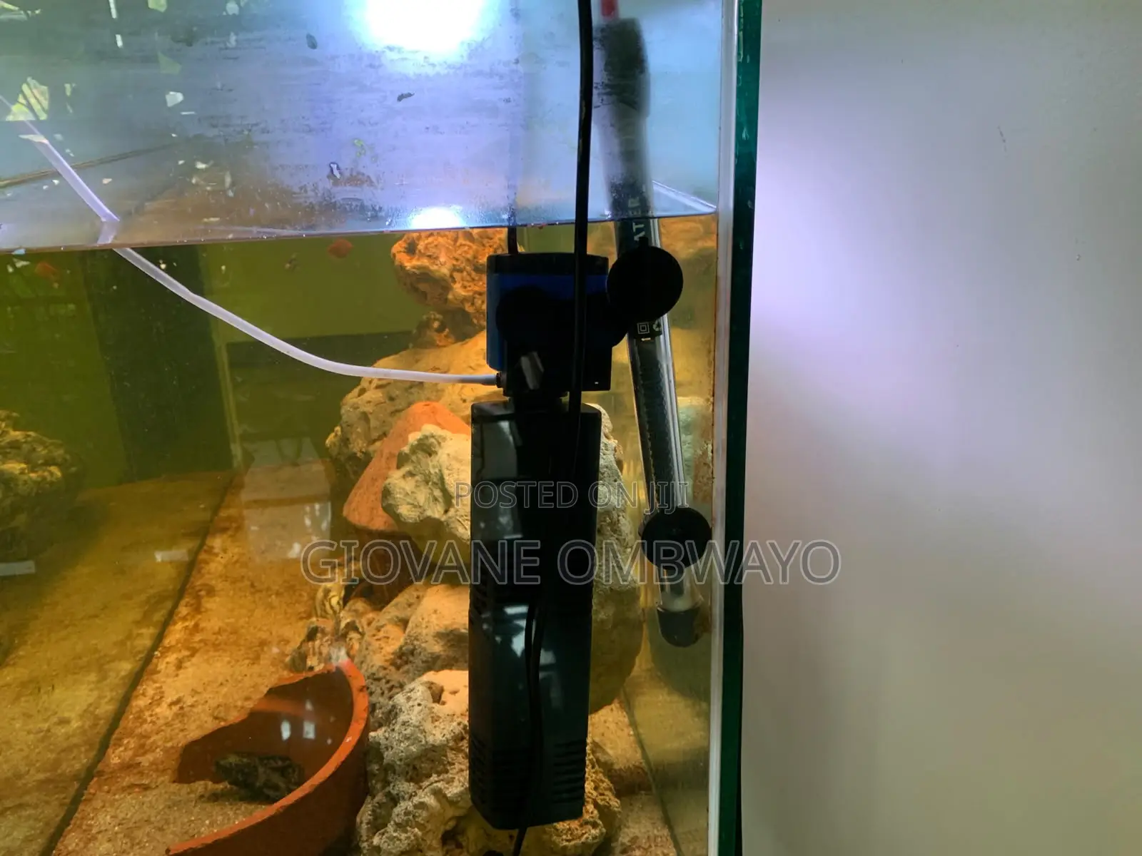 250 Liters Aquarium