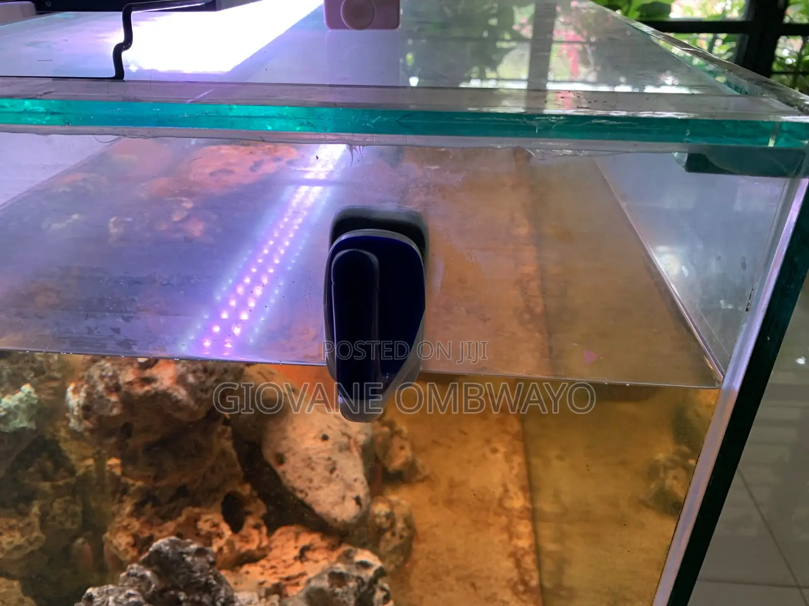 250 Liters Aquarium