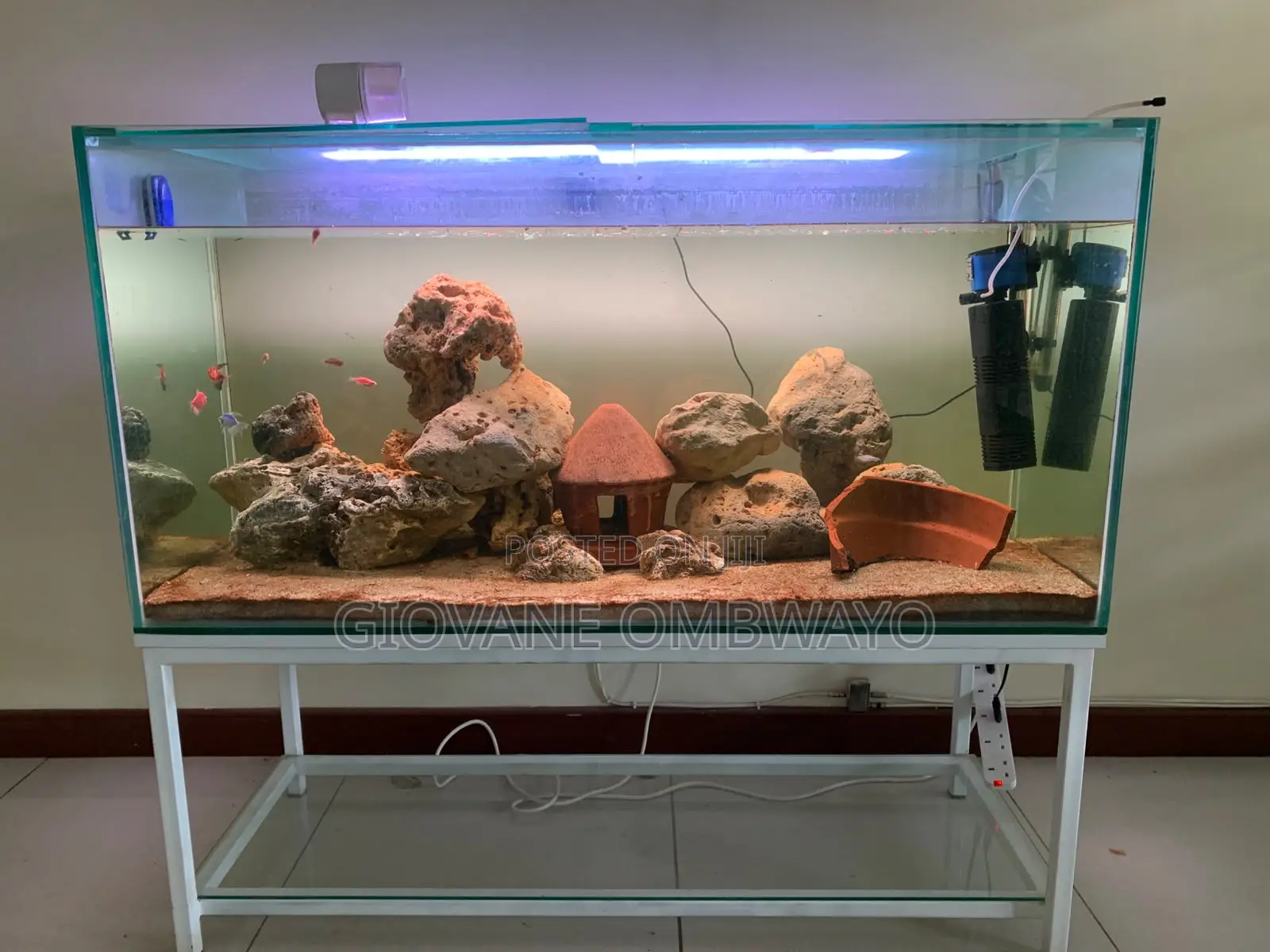 250 Liters Aquarium