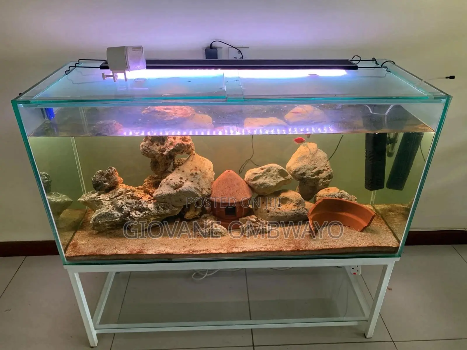 250 Liters Aquarium