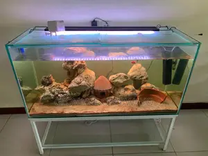250 Liters Aquarium
